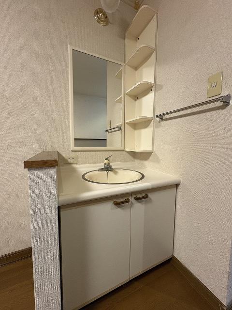 洗面台・洗面所  写真撮影日：2025-11-15