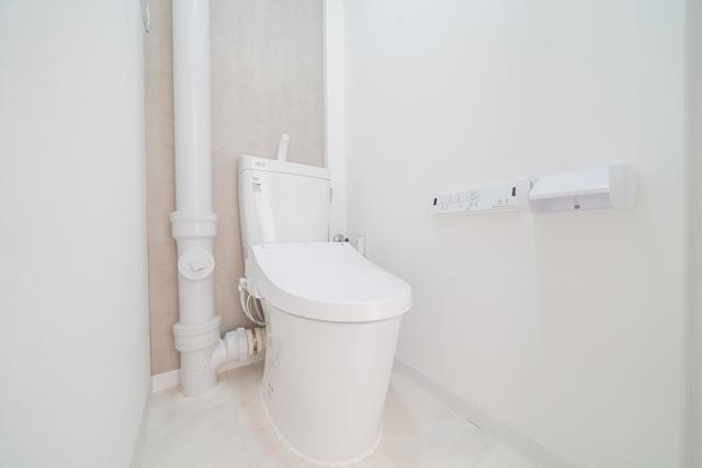 トイレ  写真撮影日：2026-02-21