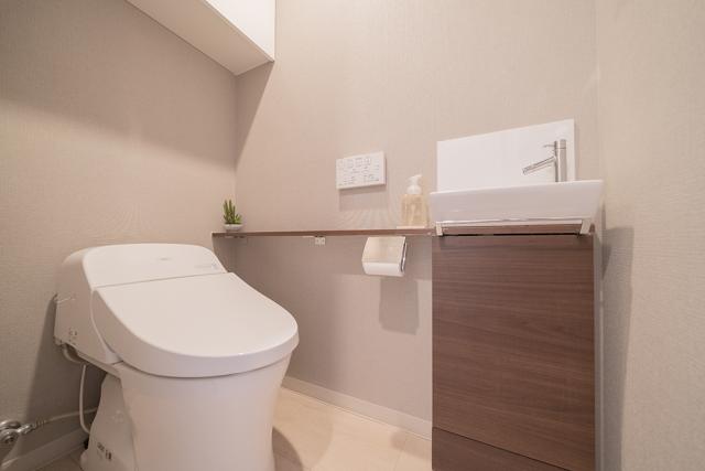 トイレ  写真撮影日：2025-12-21