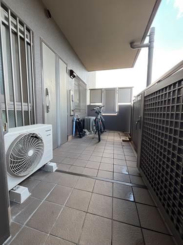 現地写真（２０２５年１２月撮影）