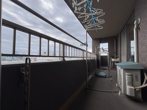 現地写真（２０２５年１２月撮影）