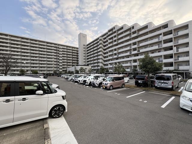 駐車場(共用設備)  写真撮影日：2025-12-14