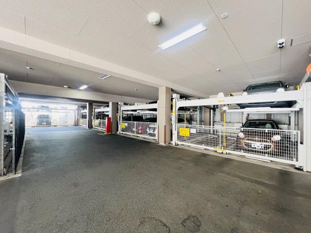 駐車場(共用設備)  写真撮影日：2025-11-01