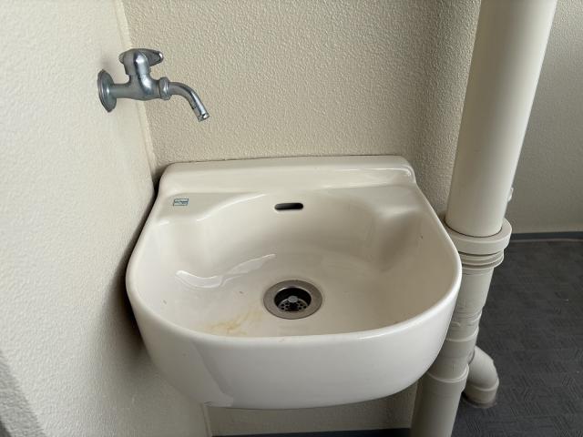 その他  写真撮影日：2026-02-02