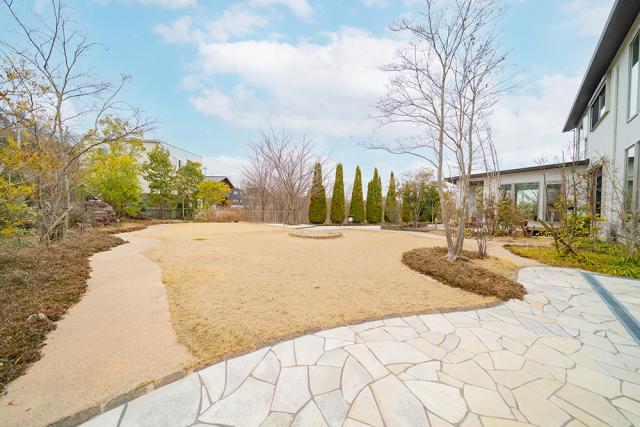 庭  写真撮影日：2026-03-08