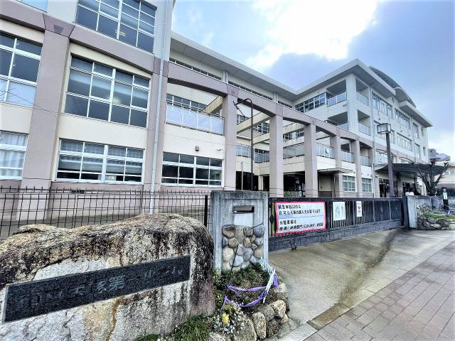 宝塚市立宝塚第一小学校 1100m 写真撮影日：2026-03-01