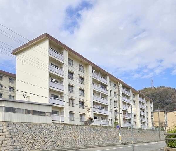 南向き・陽当たり良好