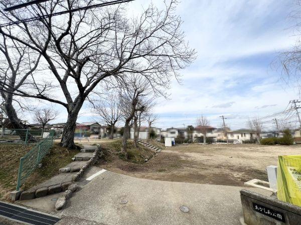 あかしあ公園 450m 写真撮影日：2025-04-26