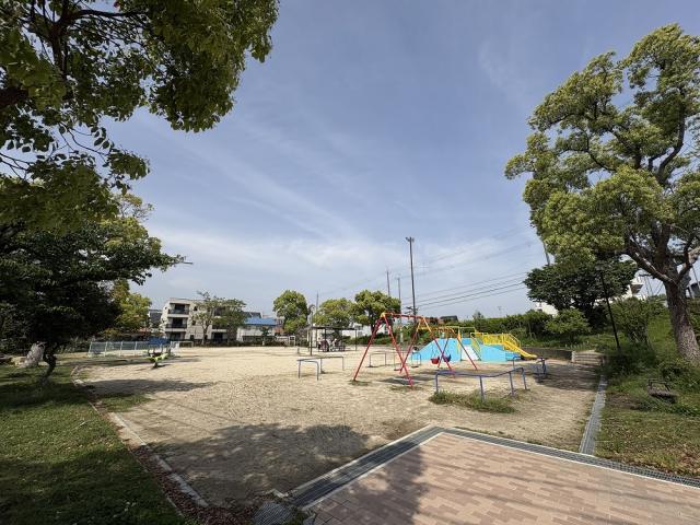 深谷公園 250m 写真撮影日：2026-05-02