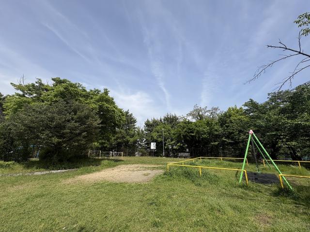 甲南公園 300m 写真撮影日：2026-05-02
