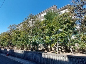 RC造8階建てマンションの4階部分、通風・眺望良好です。周辺は、緑の多い落ち着いた住宅街です。