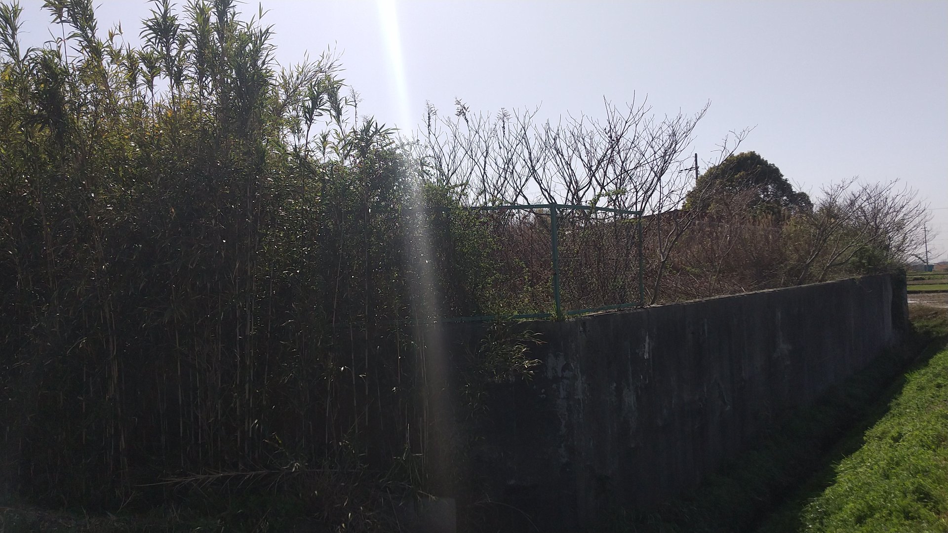 敷地
