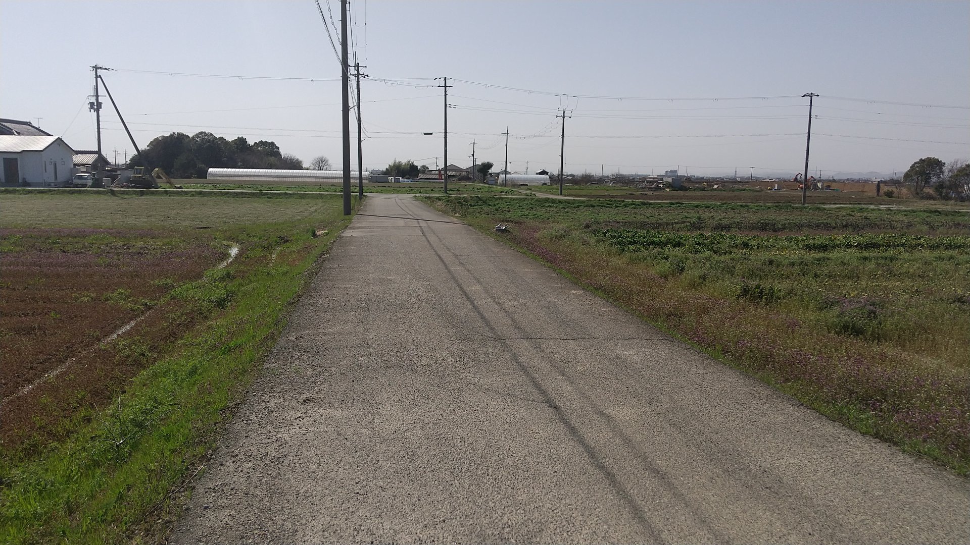 道路