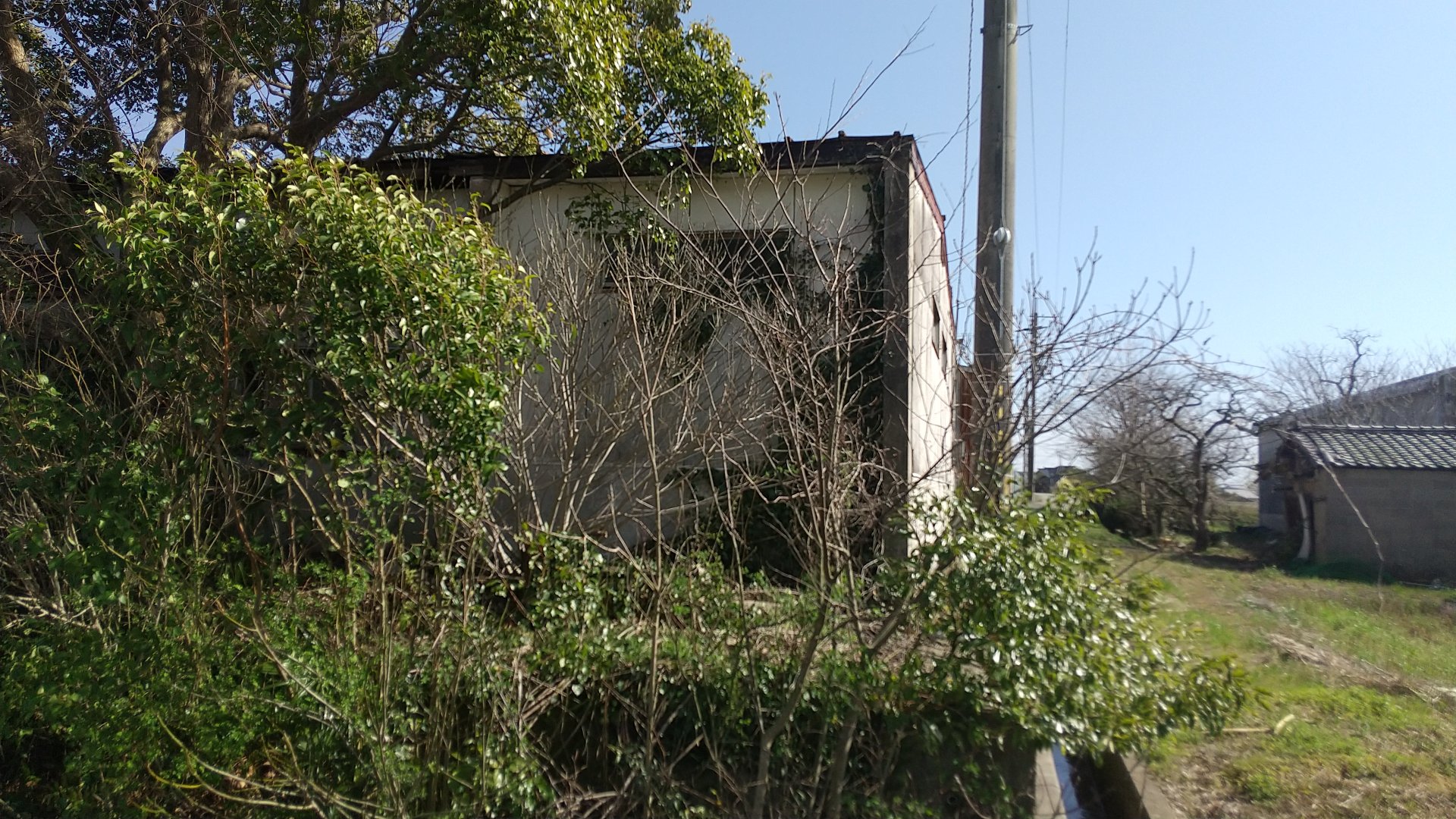 敷地