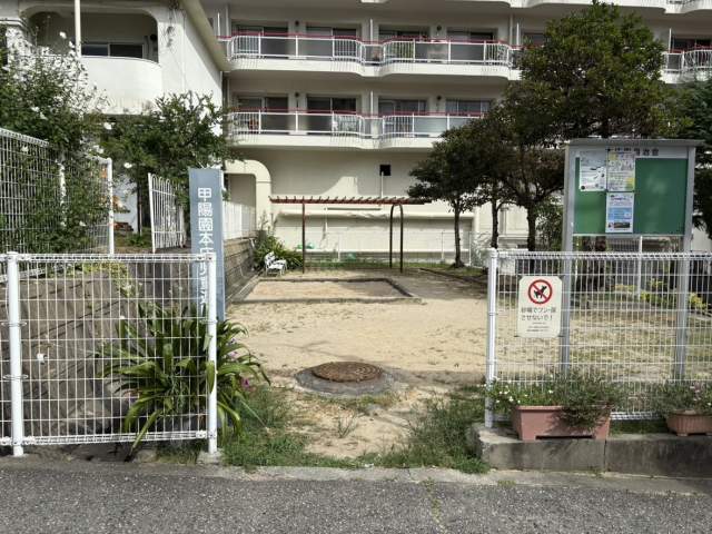 その他  写真撮影日：2026-08-09