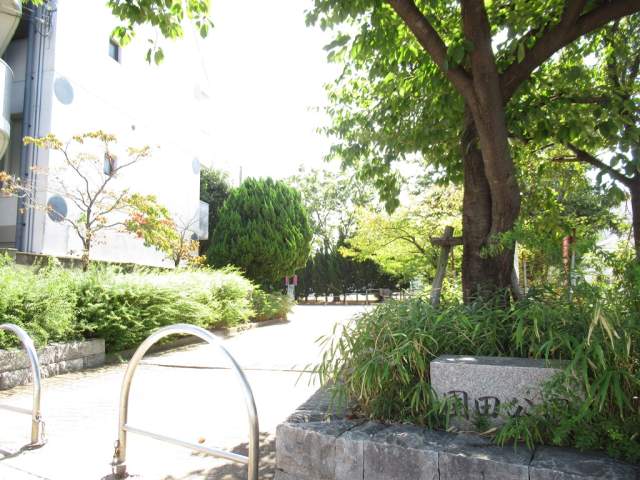 園田公園 300m 写真撮影日：2026-09-24