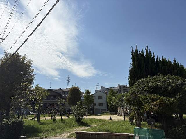 松生公園 150m 写真撮影日：2026-10-02