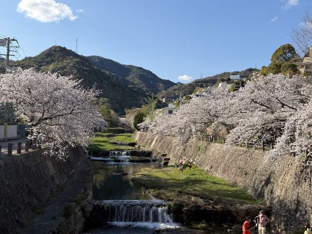 芦屋川 240m 写真撮影日：2026-07-31