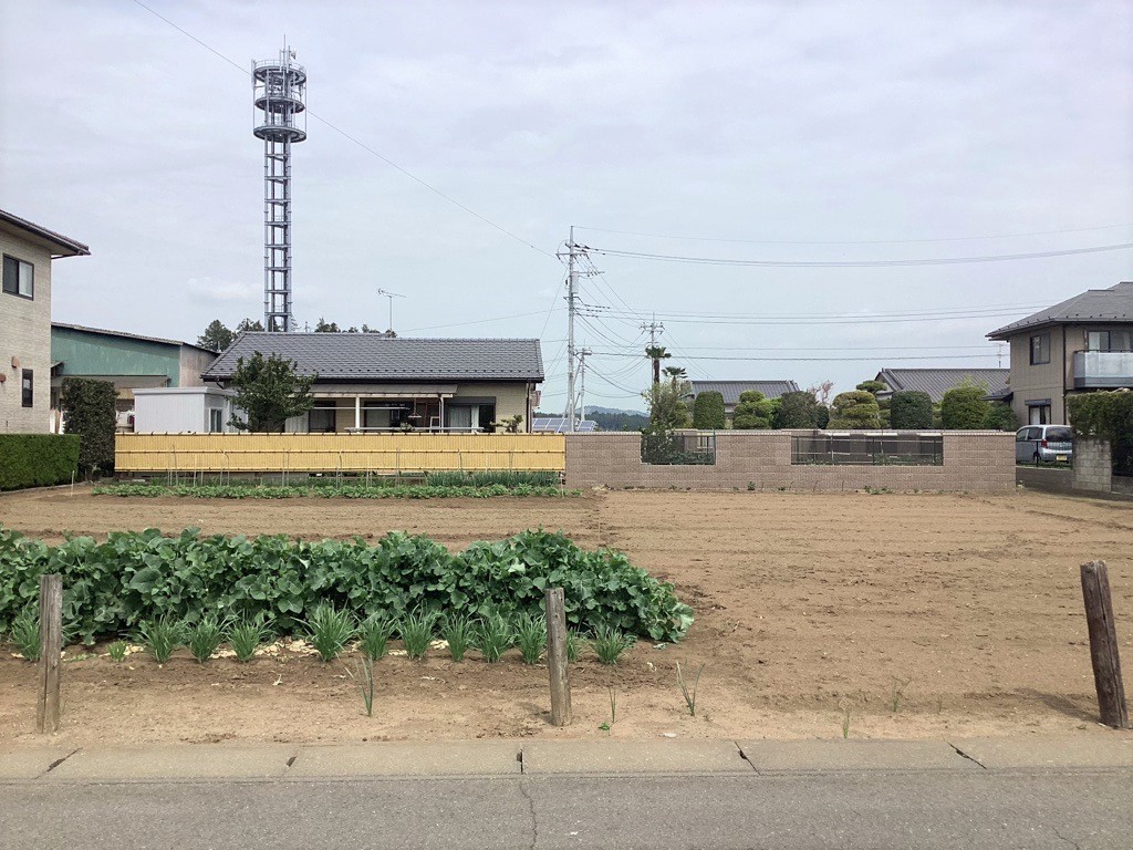 現地（2024年4月撮影）