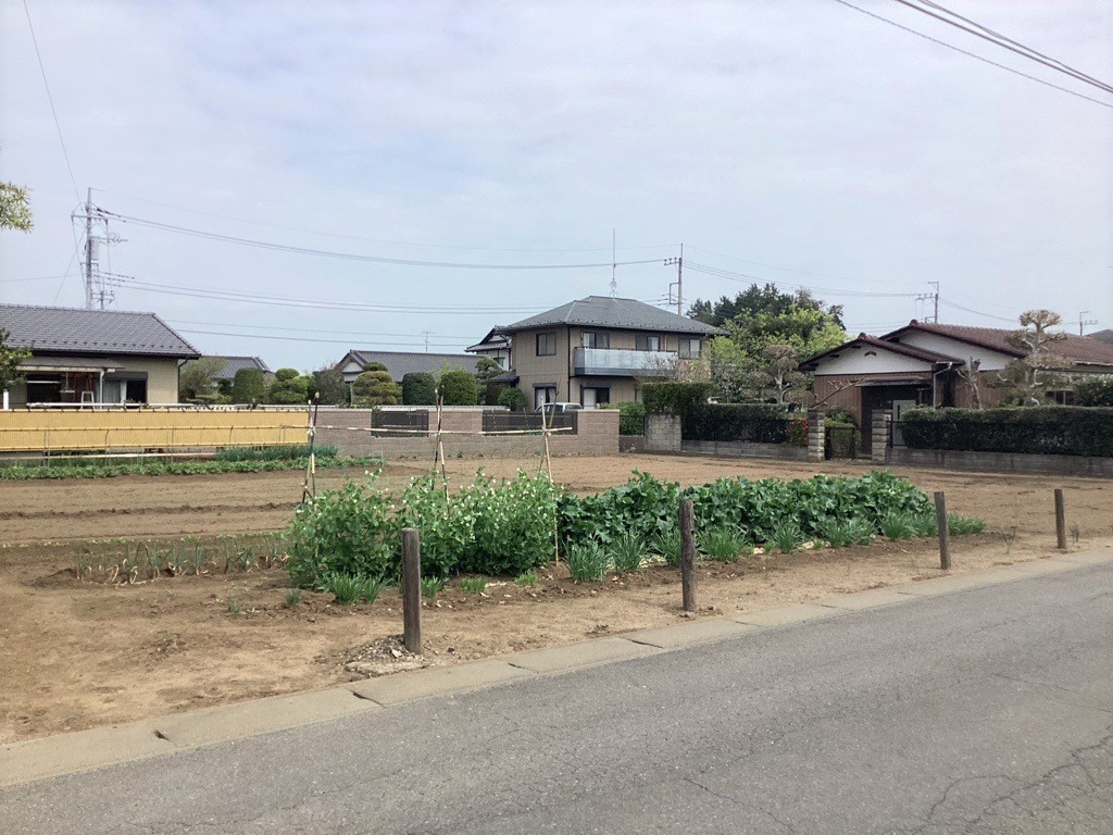 現地（2024年4月撮影）