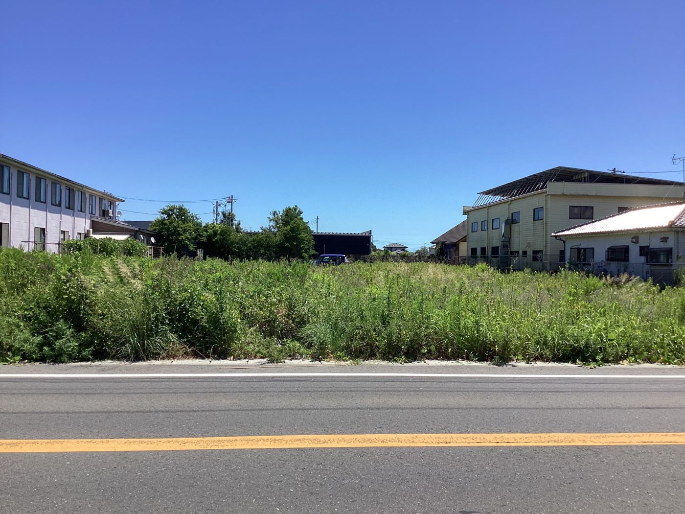 現地西側 写真撮影日：2025-07-29