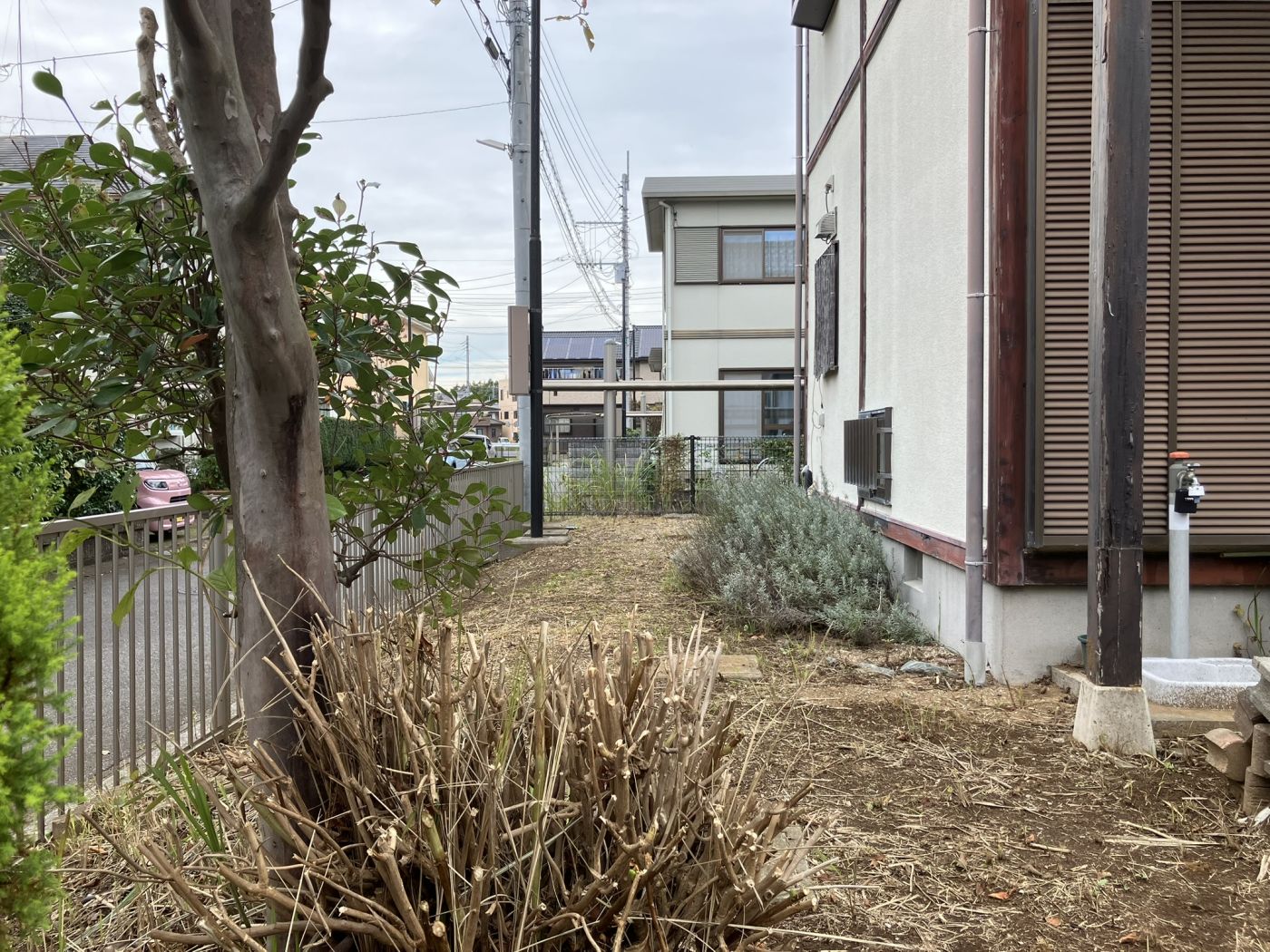 庭 写真撮影日：10/24/25, 12:00 AM