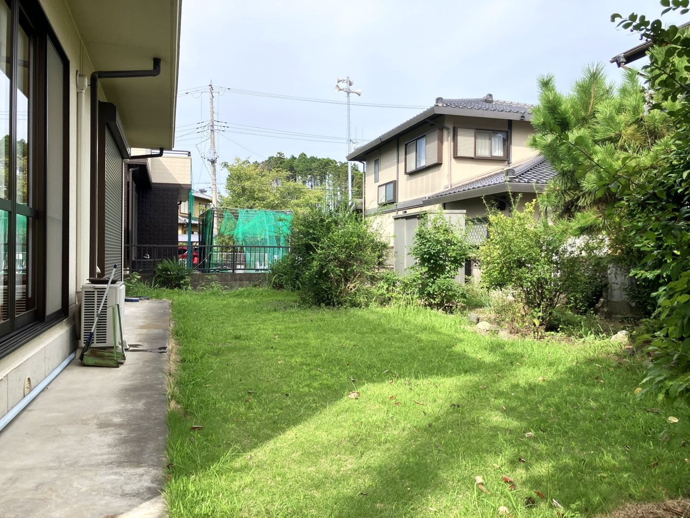 庭