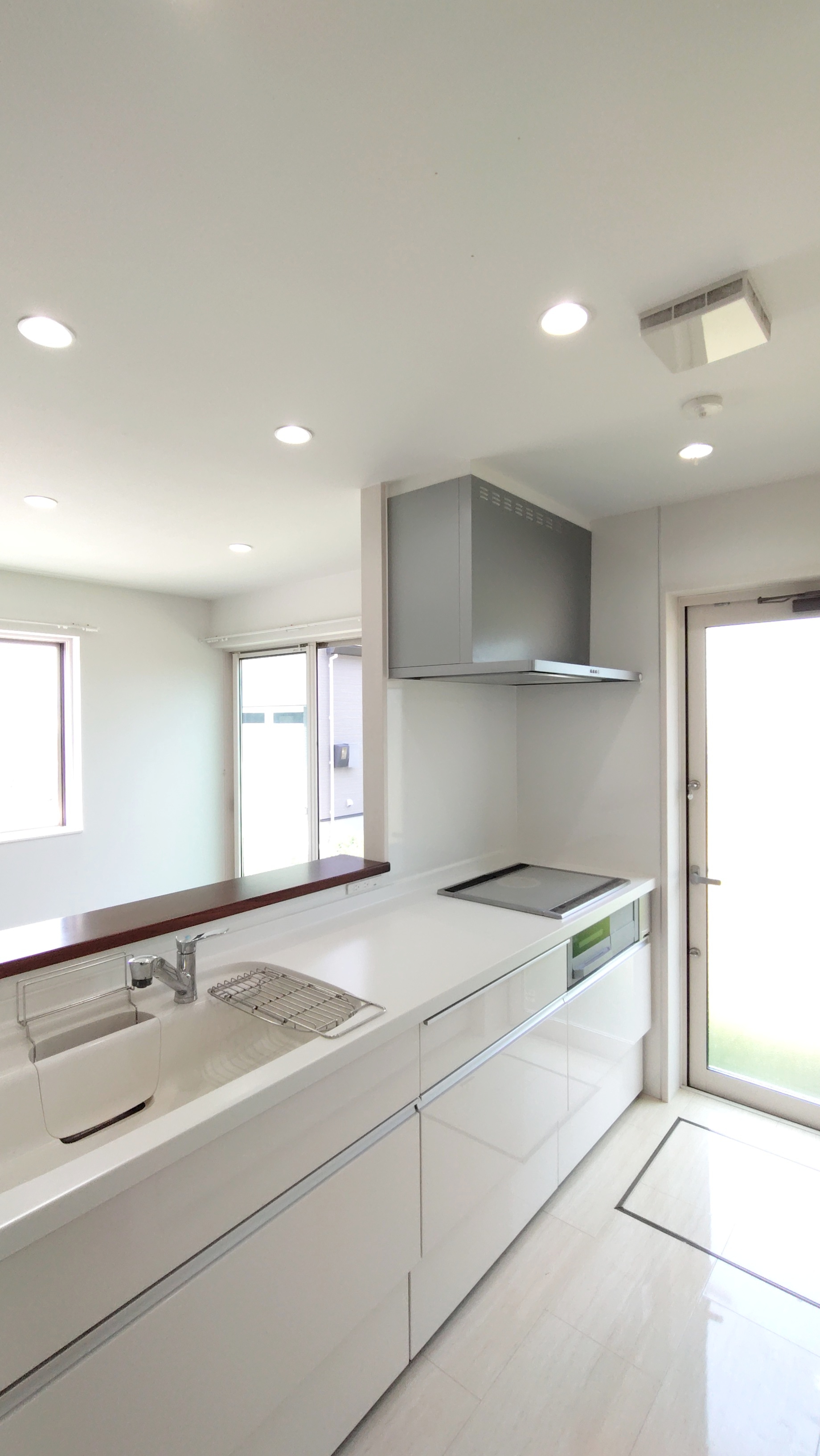 ２０２５年５月撮影