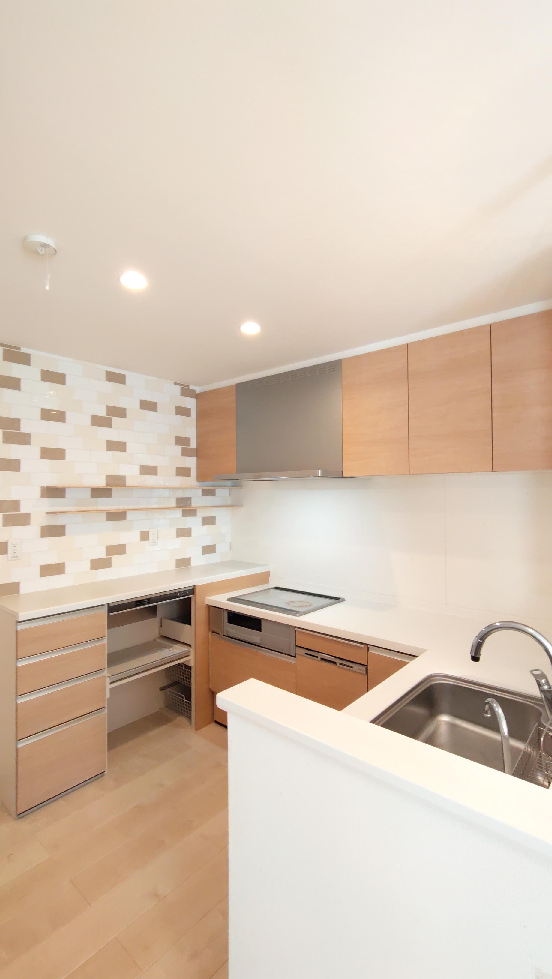 ２０２６年３月撮影