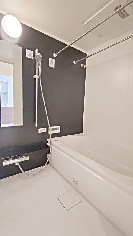 ２０２６年３月撮影