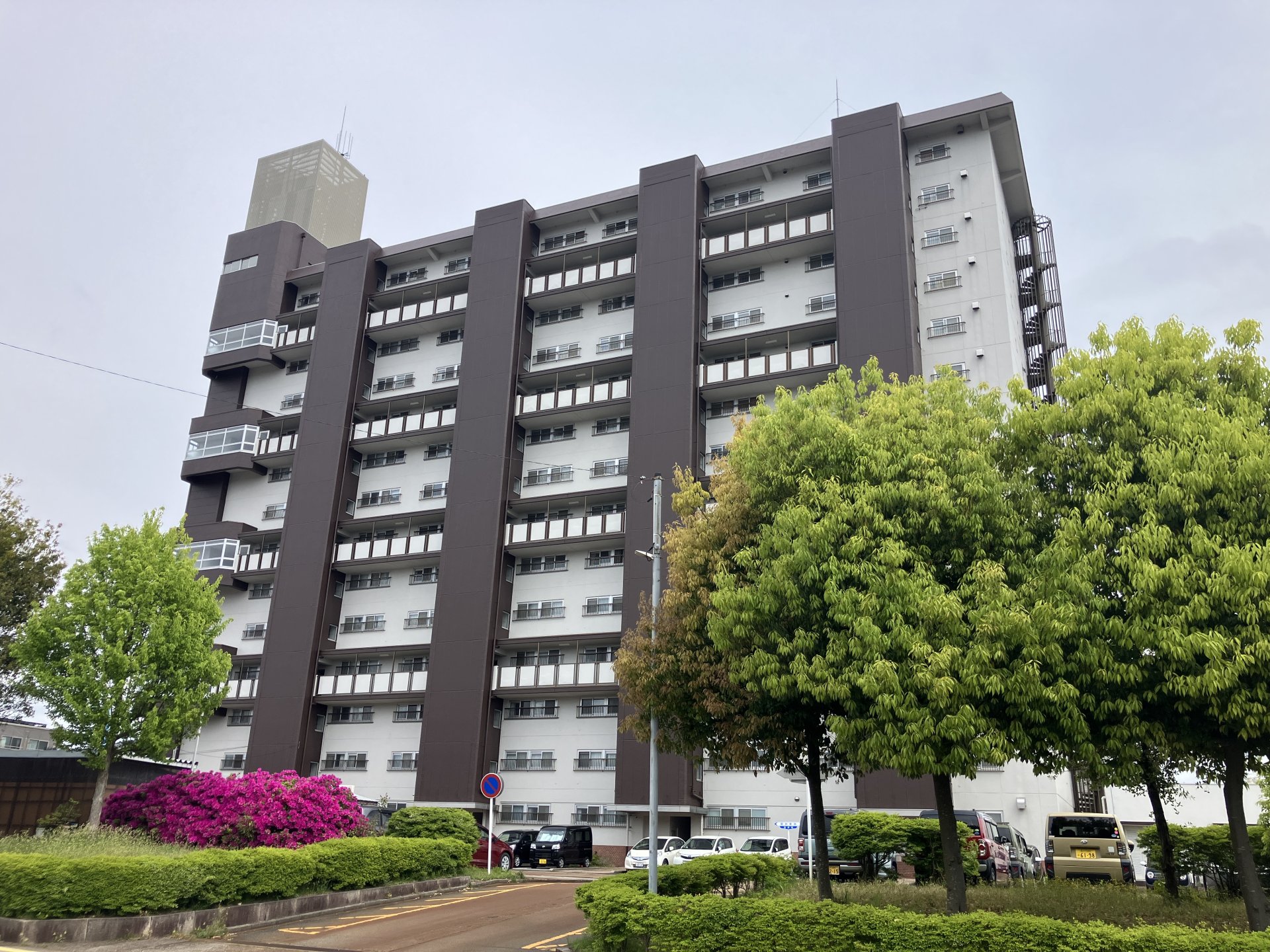 外観