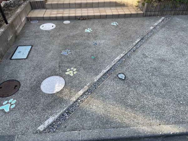 駐車場  写真撮影日：2024-11-28
