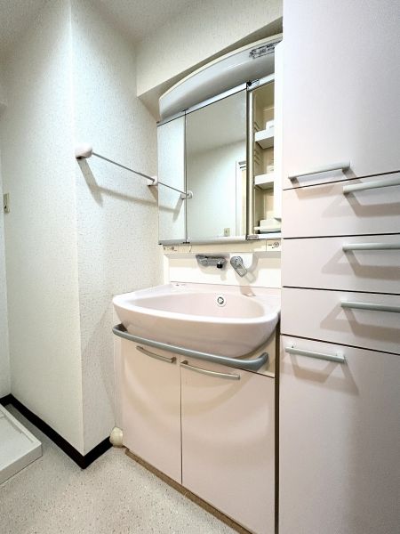 洗面台・洗面所  写真撮影日：2024-11-28