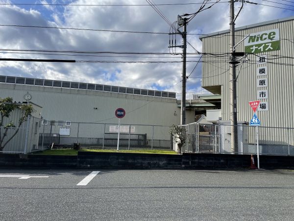 相模原市場 250m 写真撮影日：2024-12-12 