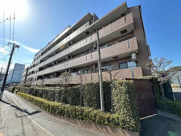 東急田園都市線「江田」駅徒歩11分。2路線3駅利用可能で、通勤や週末のお出かけにも便利な立地です。