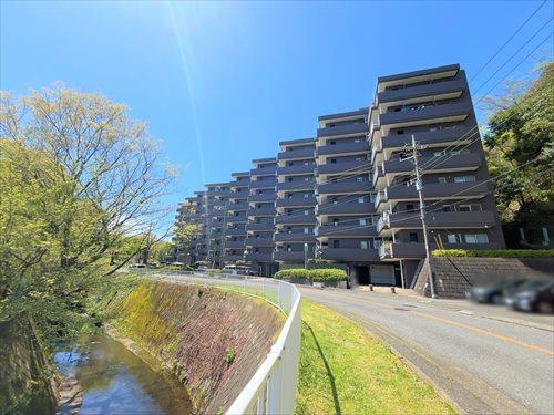 外観・前面道路