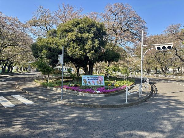 根岸交通公園 220m 写真撮影日：2025-04-15 