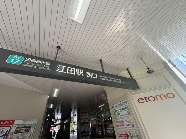 東急田園都市線「江田」駅 約560m