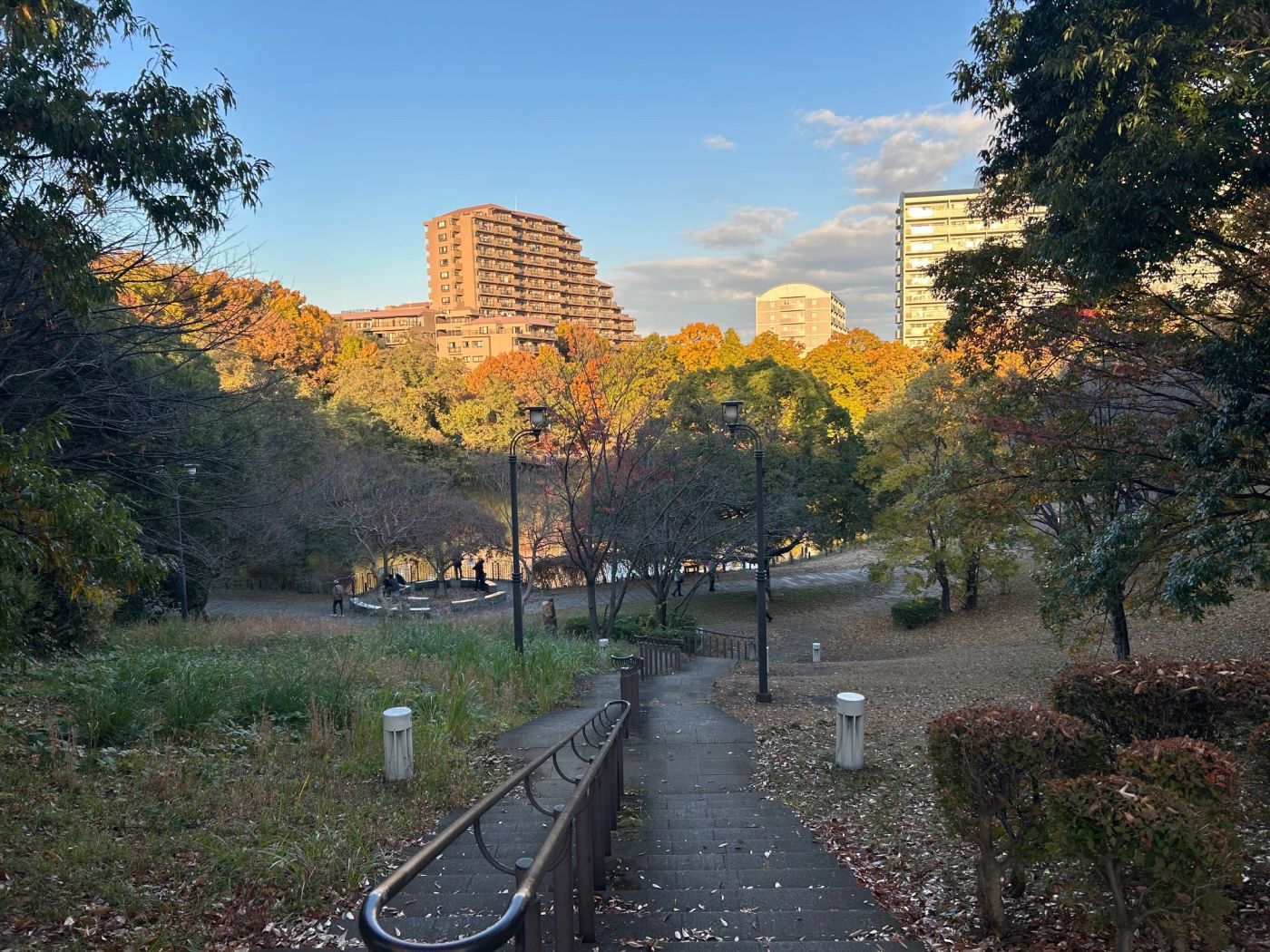 徳生公園