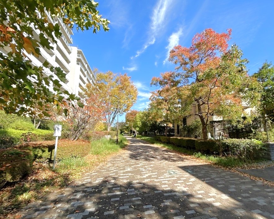 ふじやとのみち