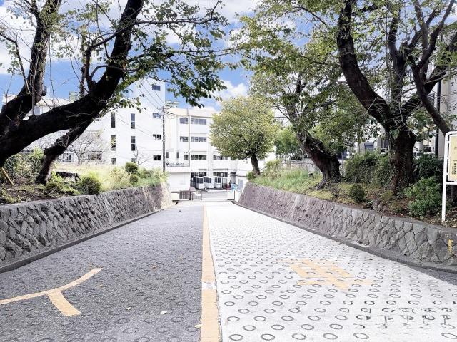 藤沢市立大越小学校 1200m 写真撮影日：2025-11-01