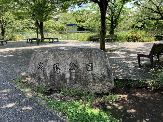 岸根公園 820m 写真撮影日：2025-11-27