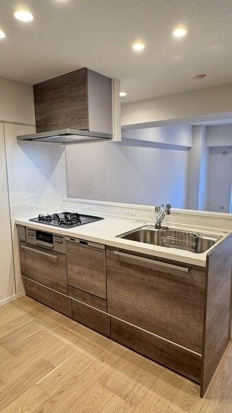 家事の時短が叶う食器洗乾燥機、同時調理が可能なグリル付き三口コンロ搭載の対面式システムキッチンです。