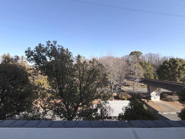 住戸からの眺望写真  写真撮影日：2026-01-25