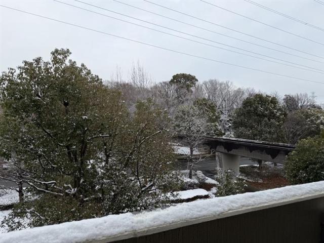 住戸からの眺望写真  写真撮影日：2026-02-08