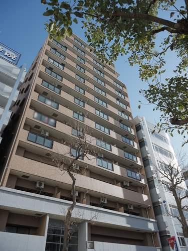 現地（２０２６年１月　撮影）