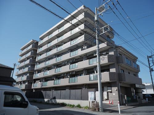 現地（２０２６年２月　撮影）