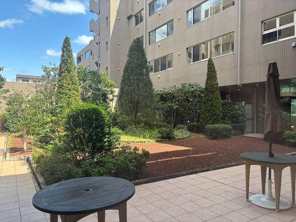 サンクチュアリ他