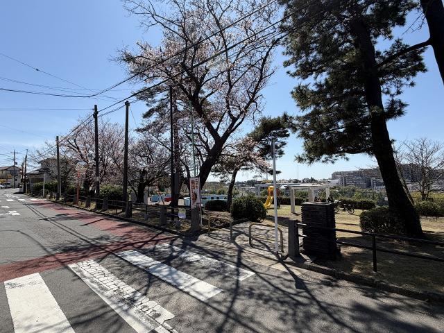 善行公園 230m 写真撮影日：2026-04-06