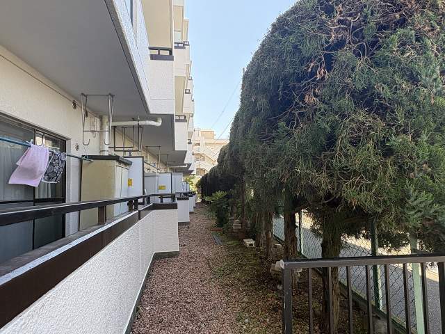 その他現地  写真撮影日：2026-04-19
